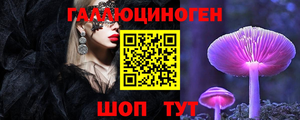 Псилоцибиновые грибы Psilocybine cubensis  Вход с VPN  Ленинск-Кузнецкий 